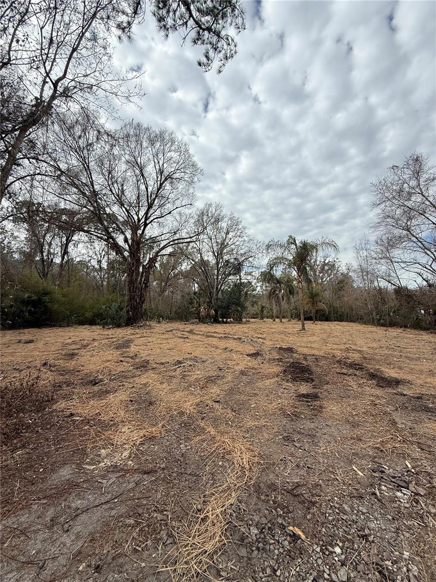 15030 N 301 HWY — photo 12