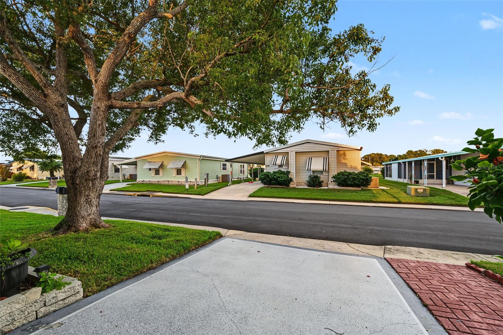 3207 BREWSTER DR — photo 41