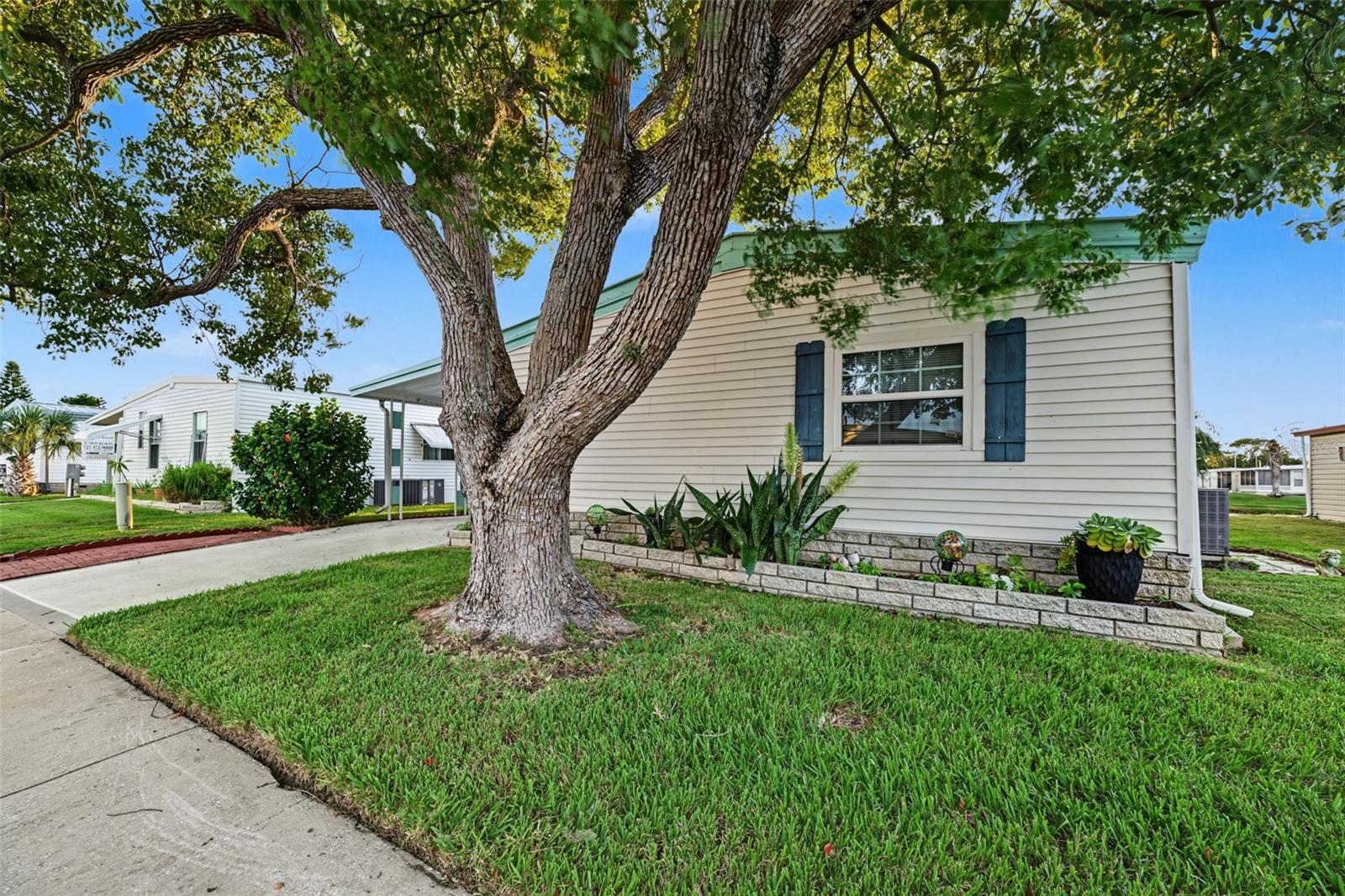 3207 BREWSTER DR — photo 3