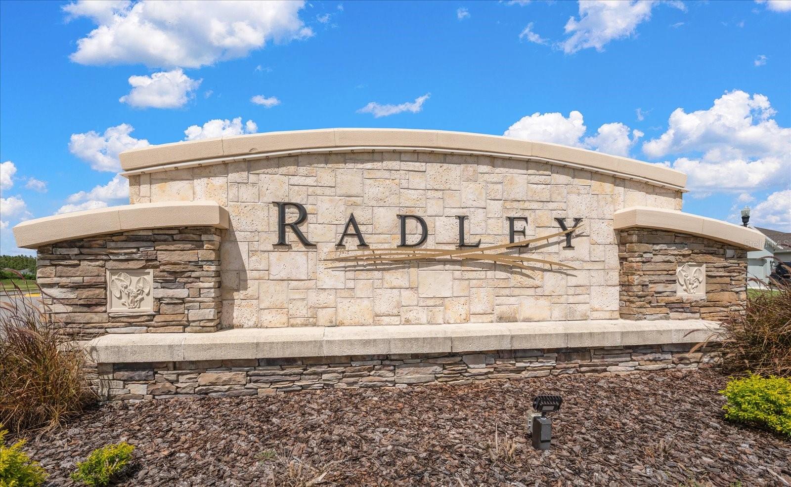 34181 RADLEY WAY — photo 39
