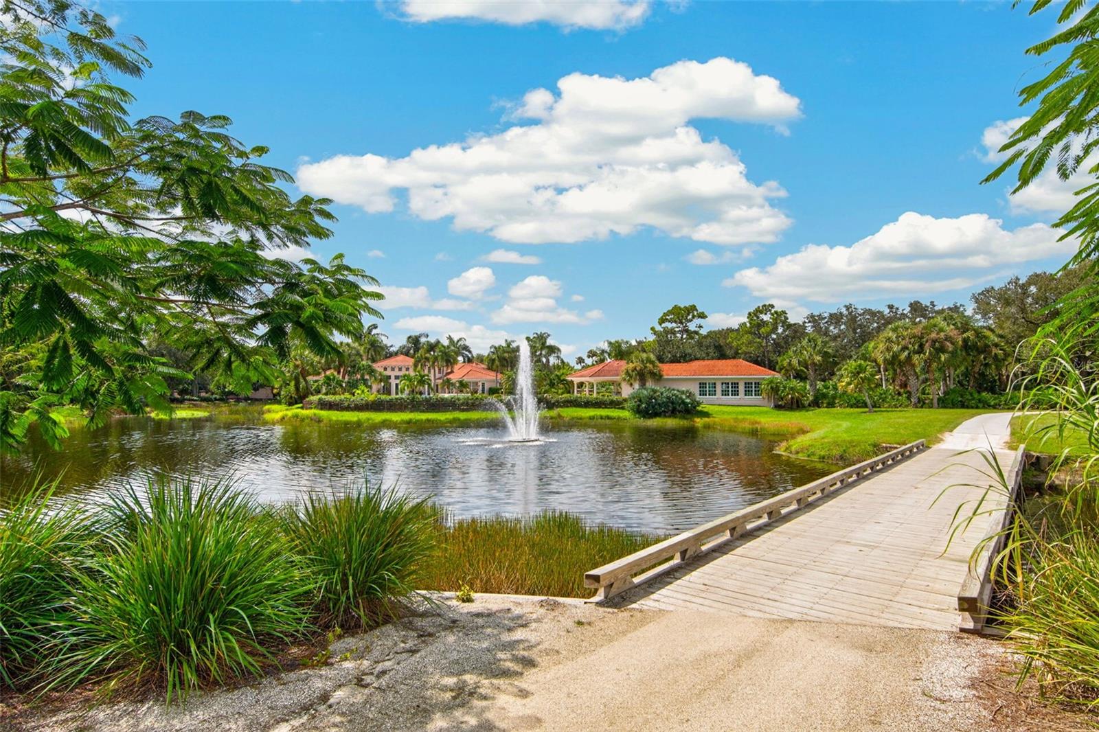 679 SAWGRASS BRIDGE RD — photo 83
