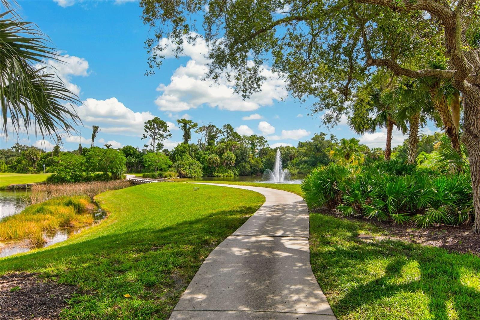 679 SAWGRASS BRIDGE RD — photo 82