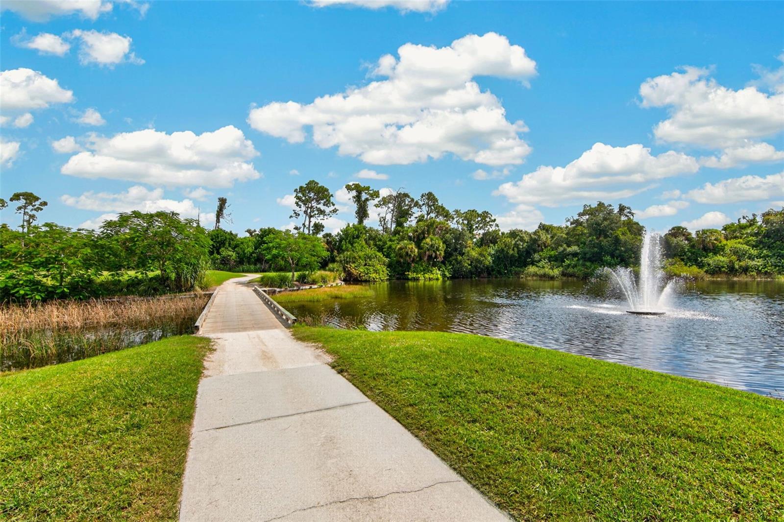 679 SAWGRASS BRIDGE RD — photo 84