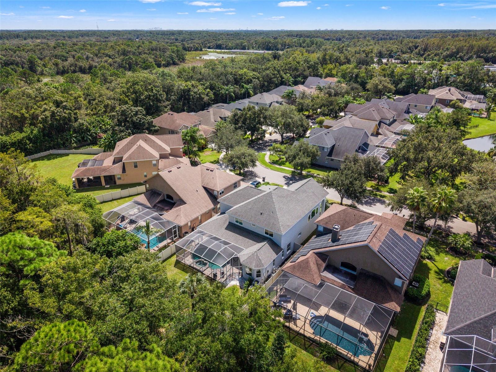 11621 RENAISSANCE VIEW CT — photo 43