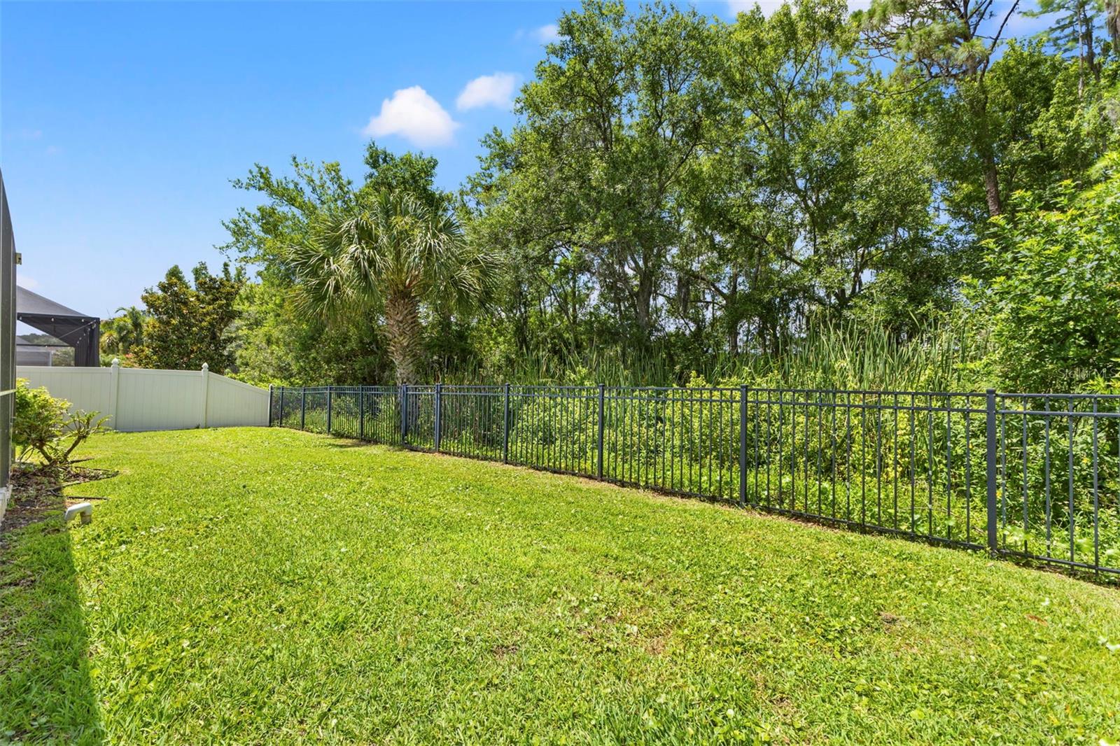 11621 RENAISSANCE VIEW CT — photo 6