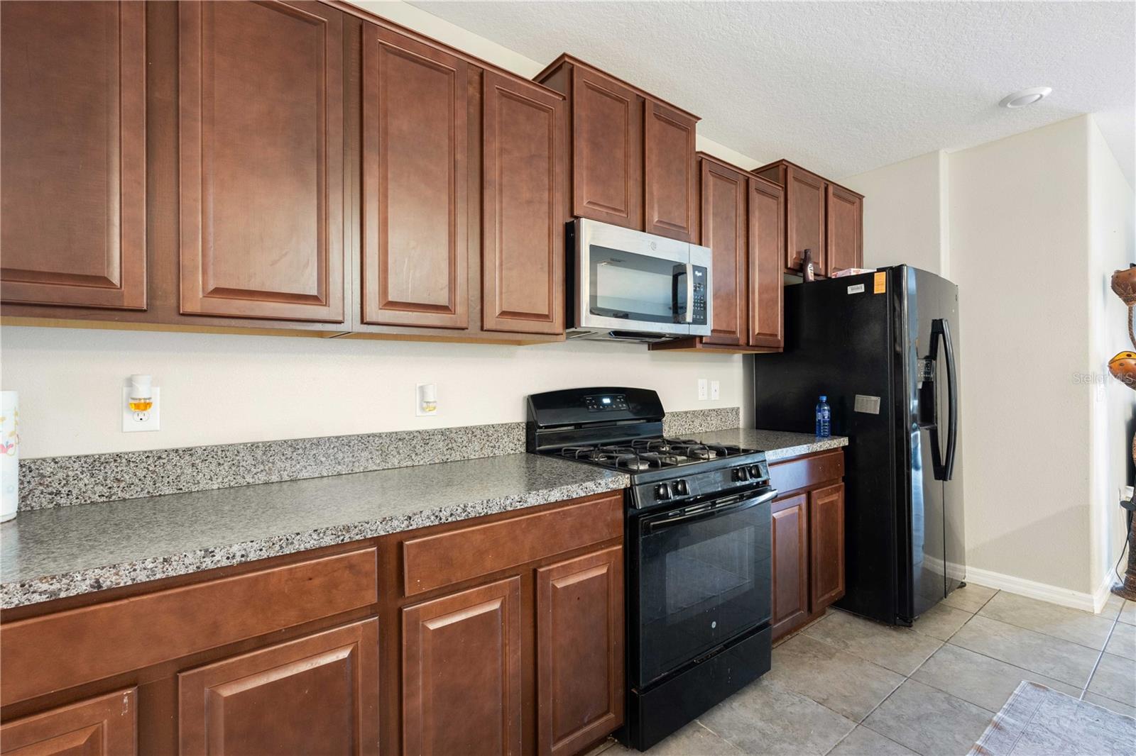 9617 CHANNING HILL DR — photo 8