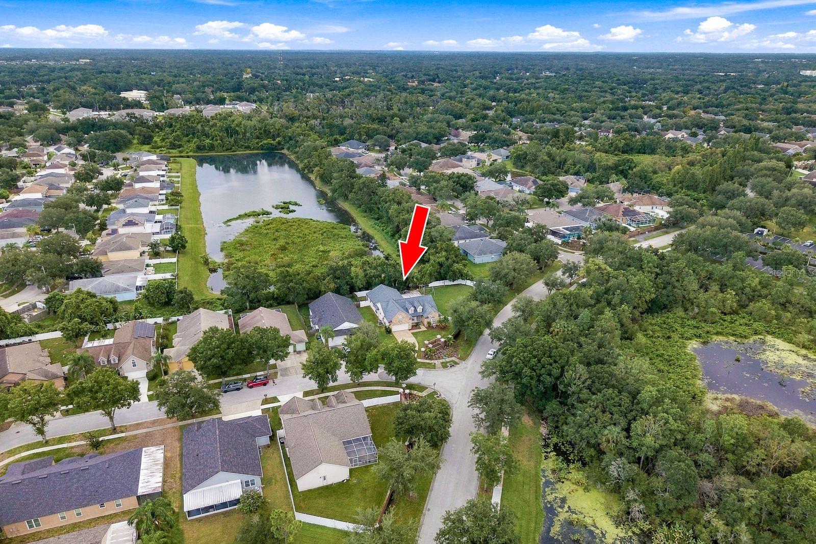 6728 THACKSTON DR — photo 4