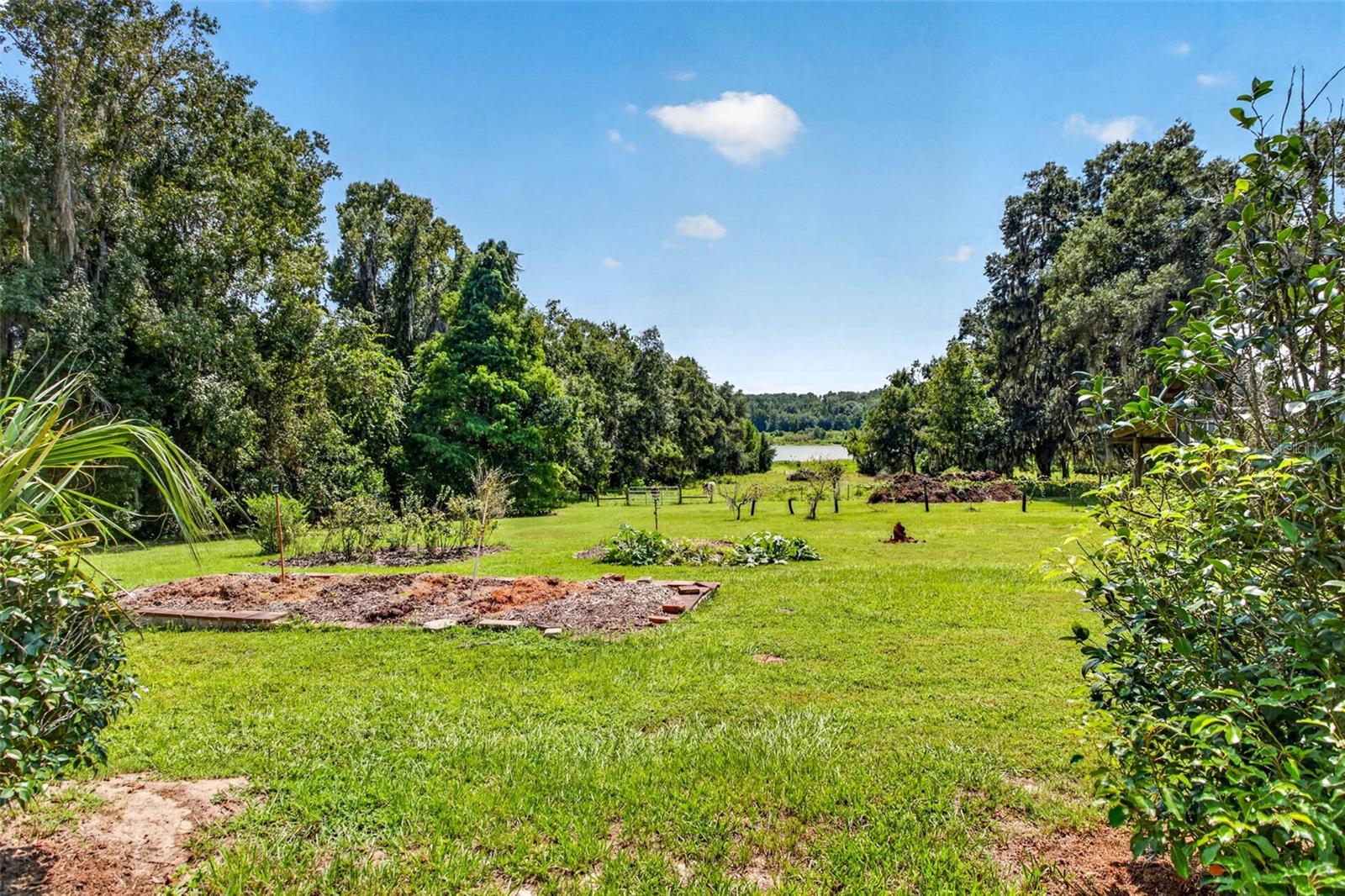 32824 LISTER RD — photo 58