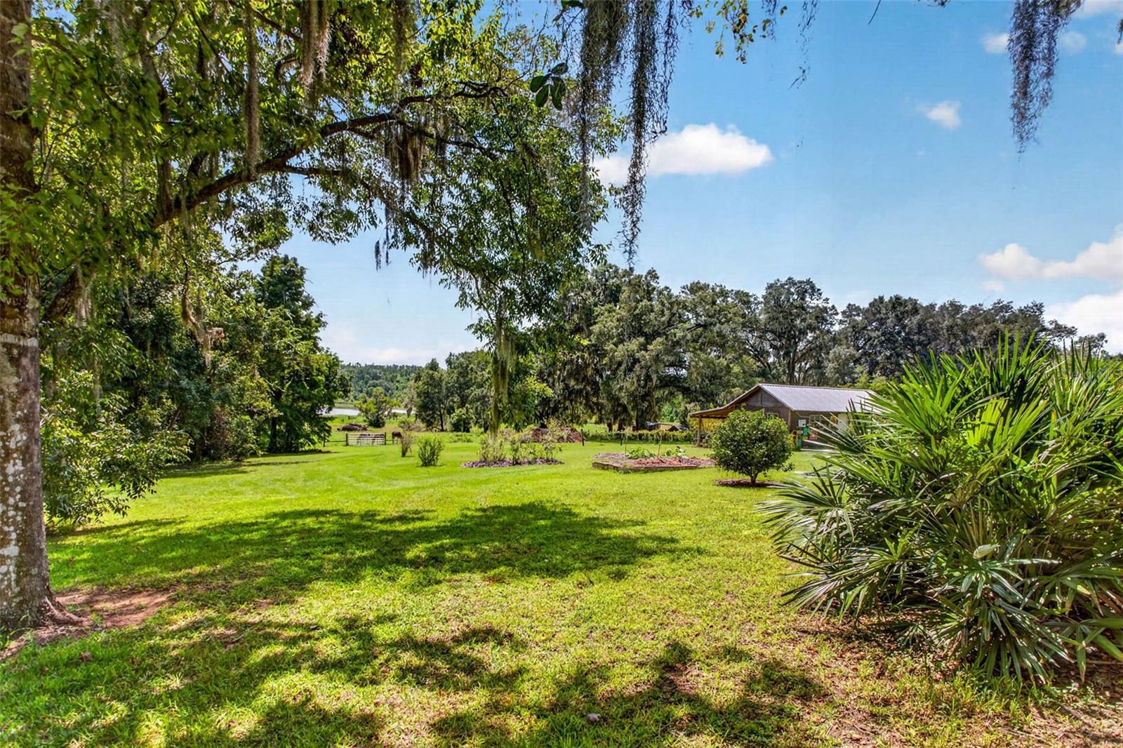 32824 LISTER RD — photo 60