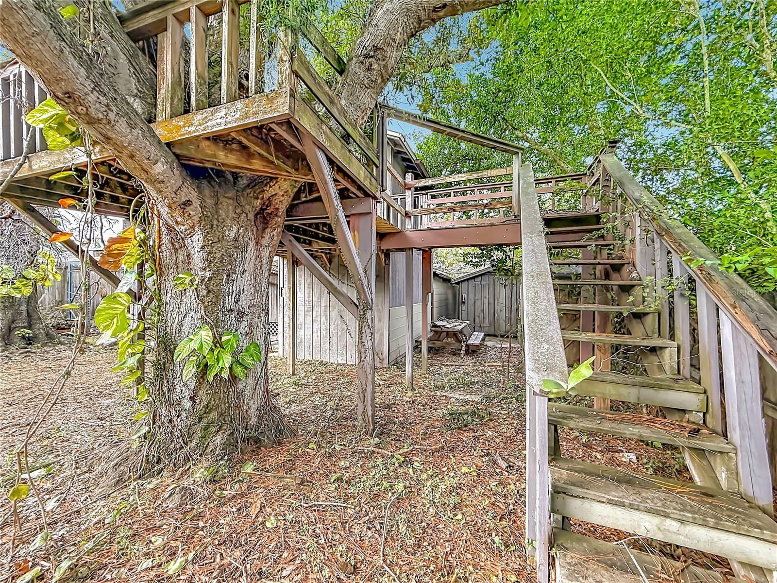4519 HAINES RD N — photo 32