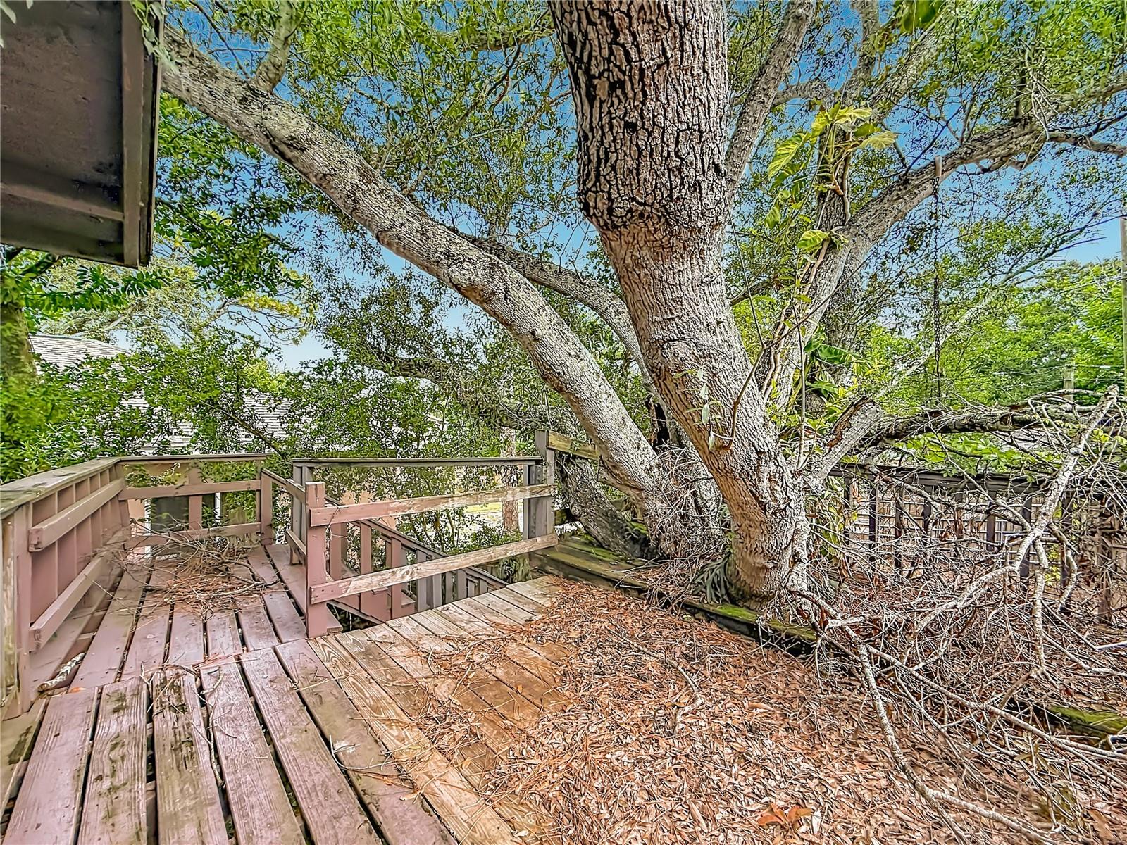 4519 HAINES RD N — photo 22