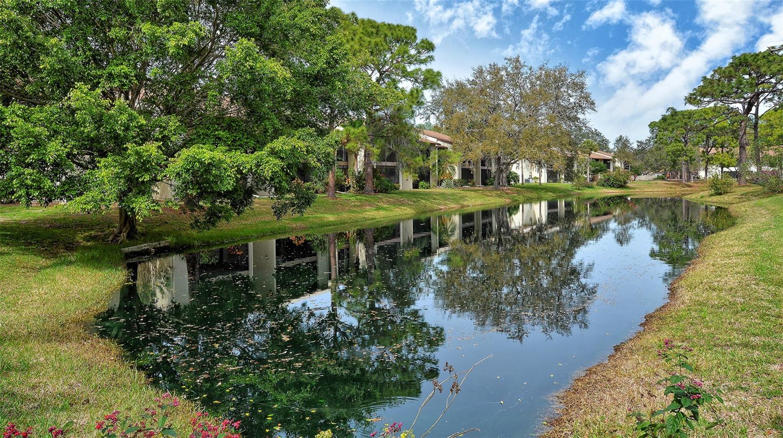 740 WHITE PINE TREE RD #205 — photo 59