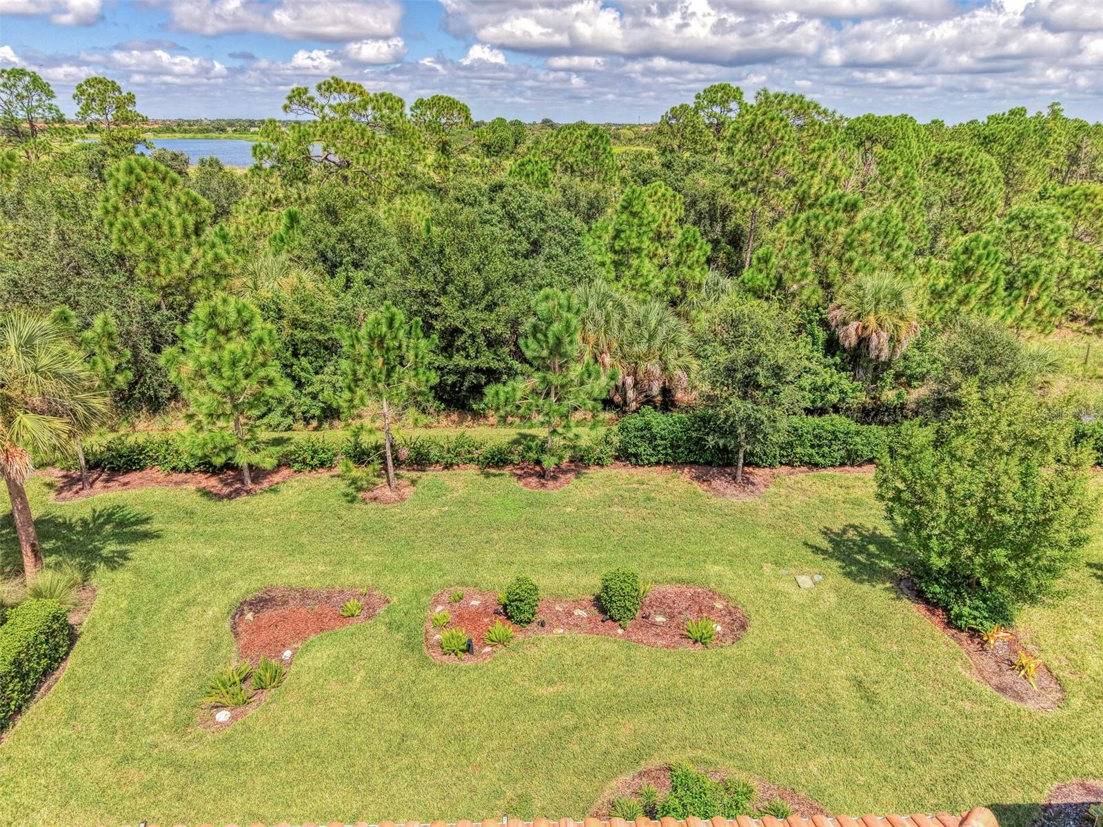 10088 CORAL SHORE DR — photo 55