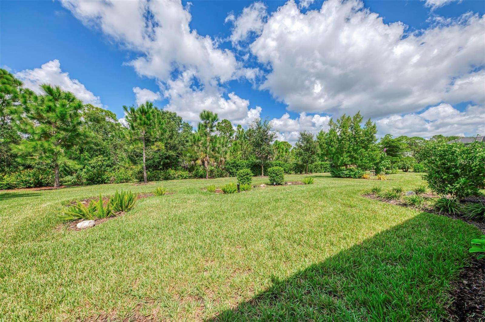 10088 CORAL SHORE DR — photo 53