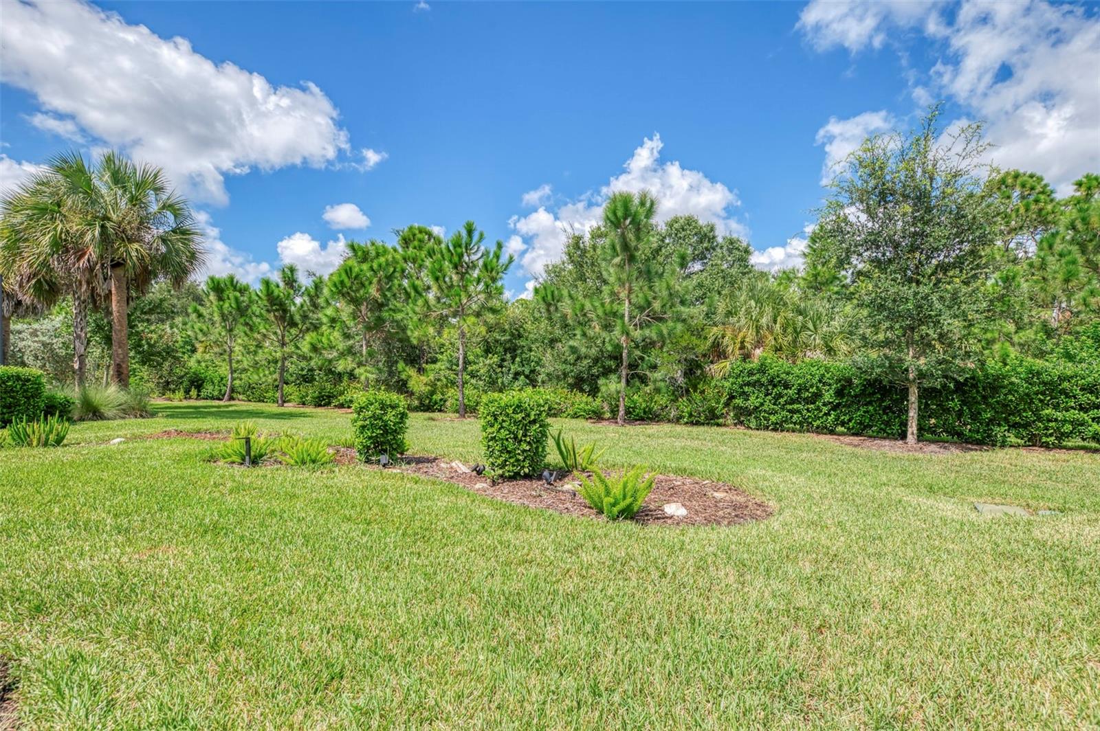 10088 CORAL SHORE DR — photo 54