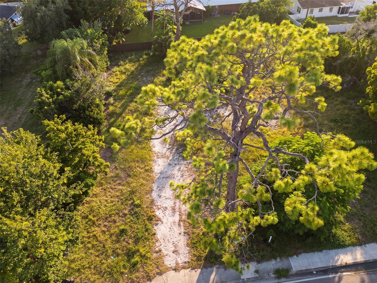 2328 WEBBER ST — photo 3