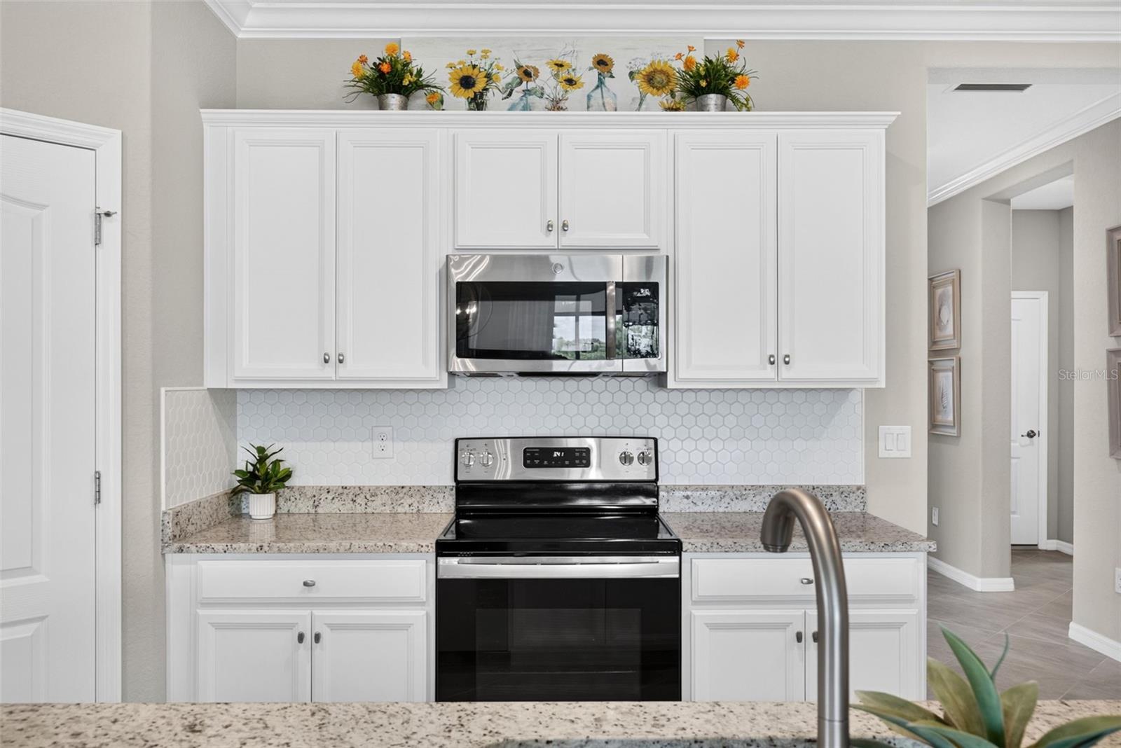 10108 COLUBRINA DR — photo 14