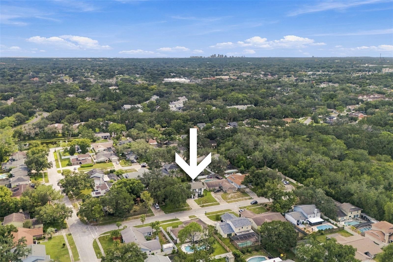 6107 OAK FERN CT — photo 49
