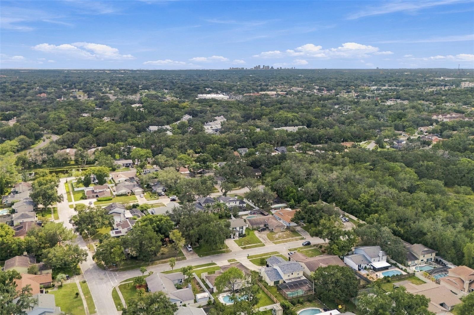 6107 OAK FERN CT — photo 50