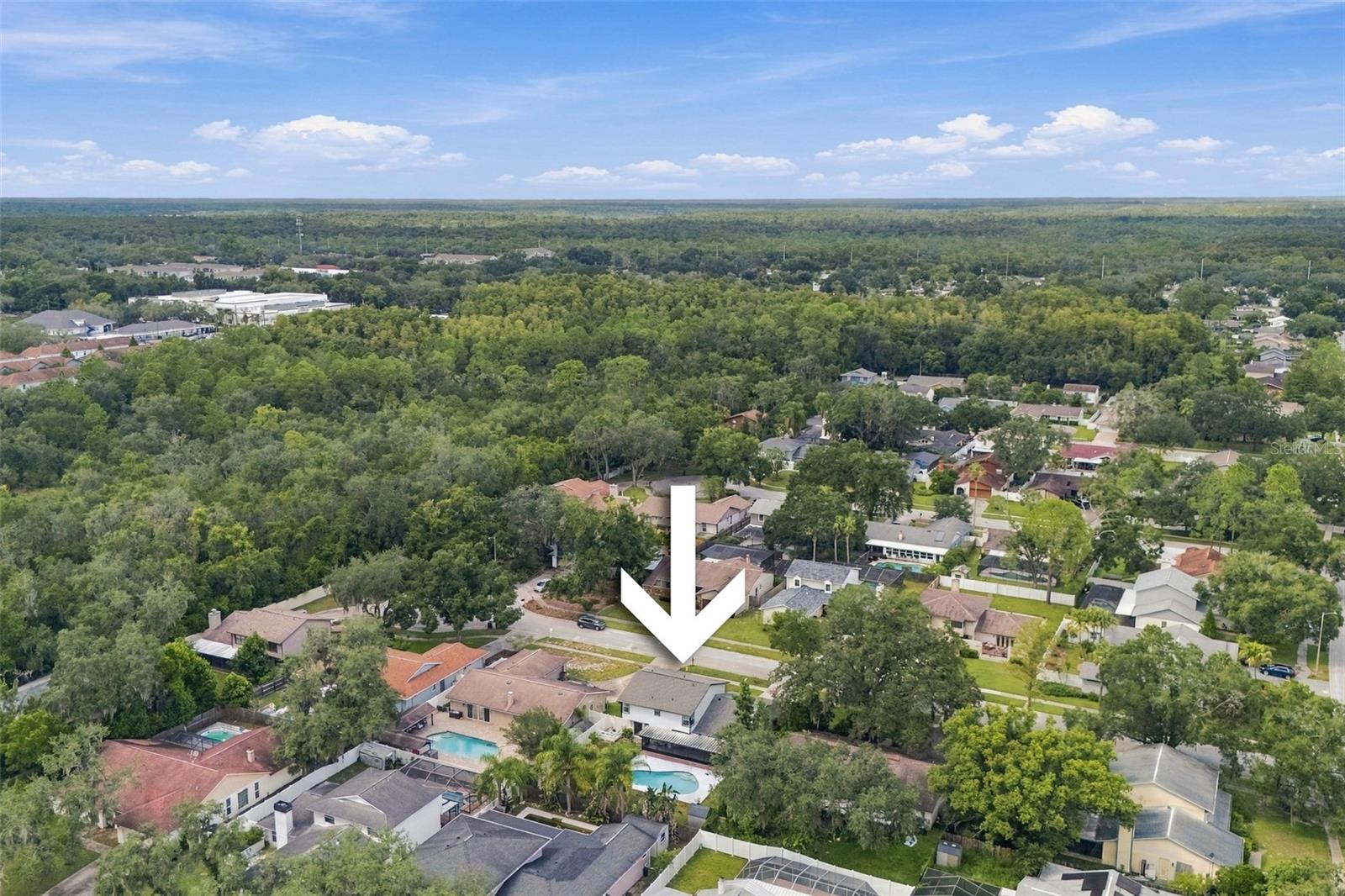 6107 OAK FERN CT — photo 47