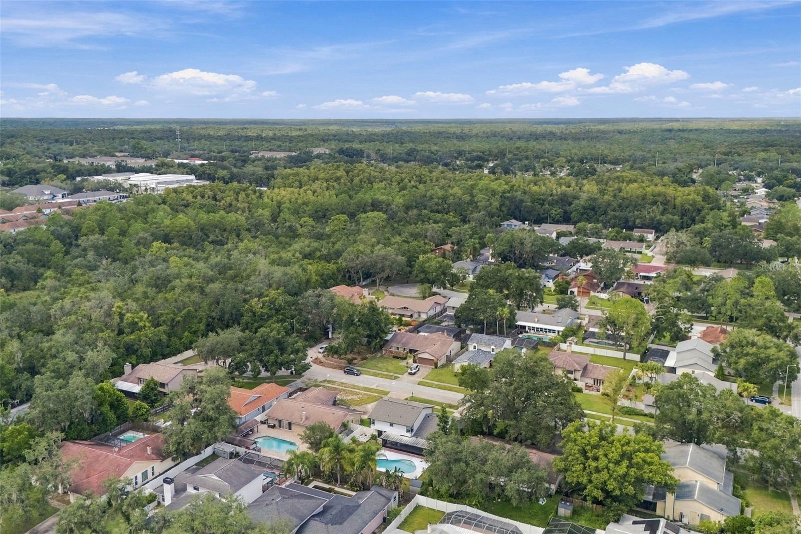 6107 OAK FERN CT — photo 48