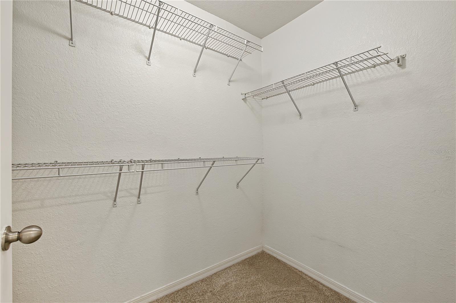 4006 CARROLLWOOD PALM CT — photo 41