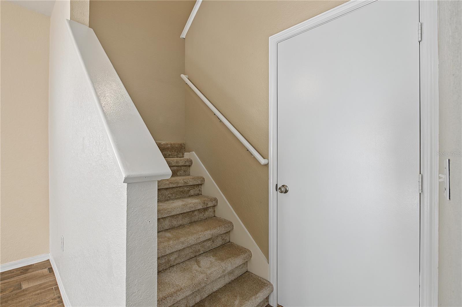4006 CARROLLWOOD PALM CT — photo 29