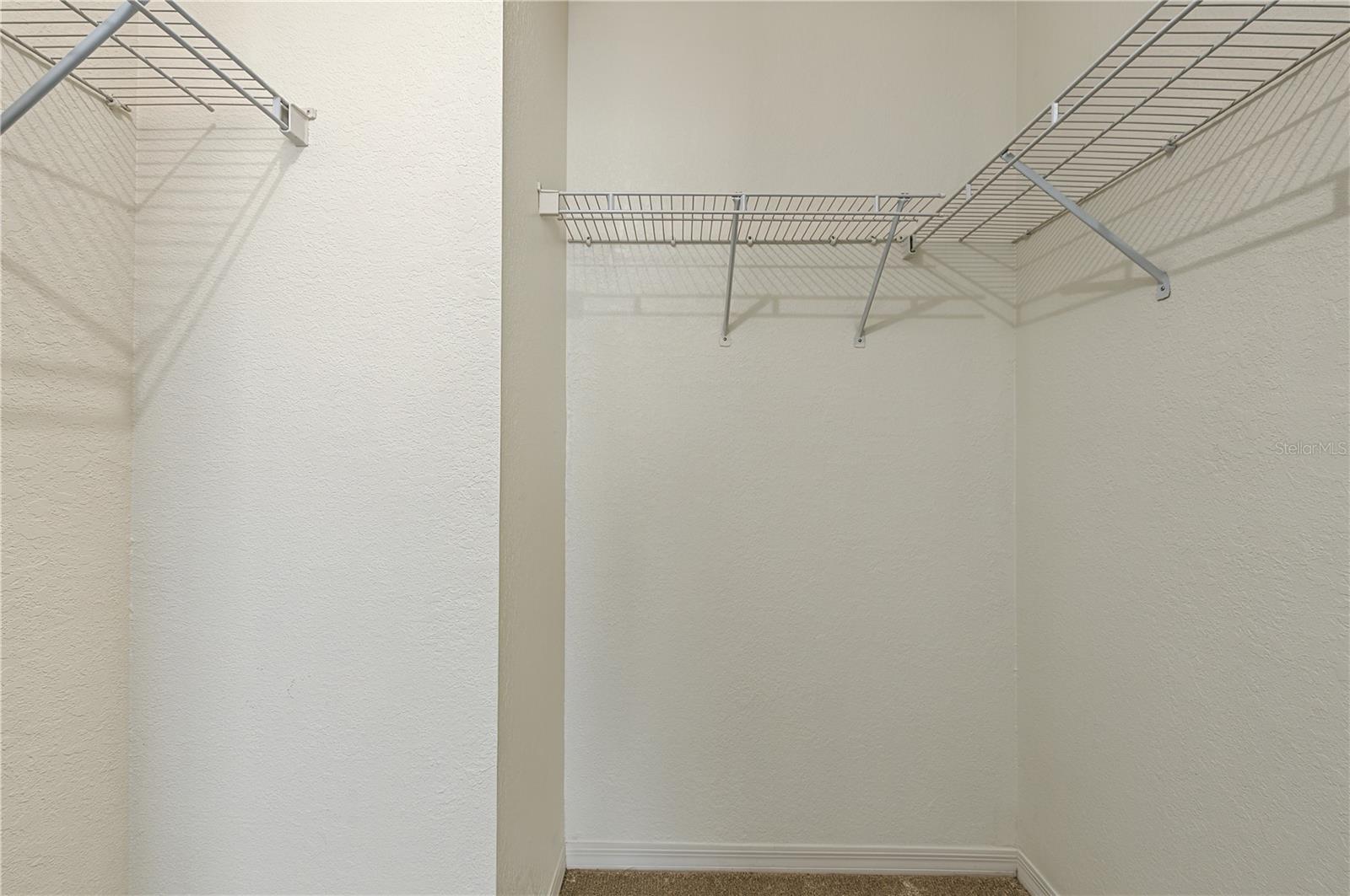 4006 CARROLLWOOD PALM CT — photo 32