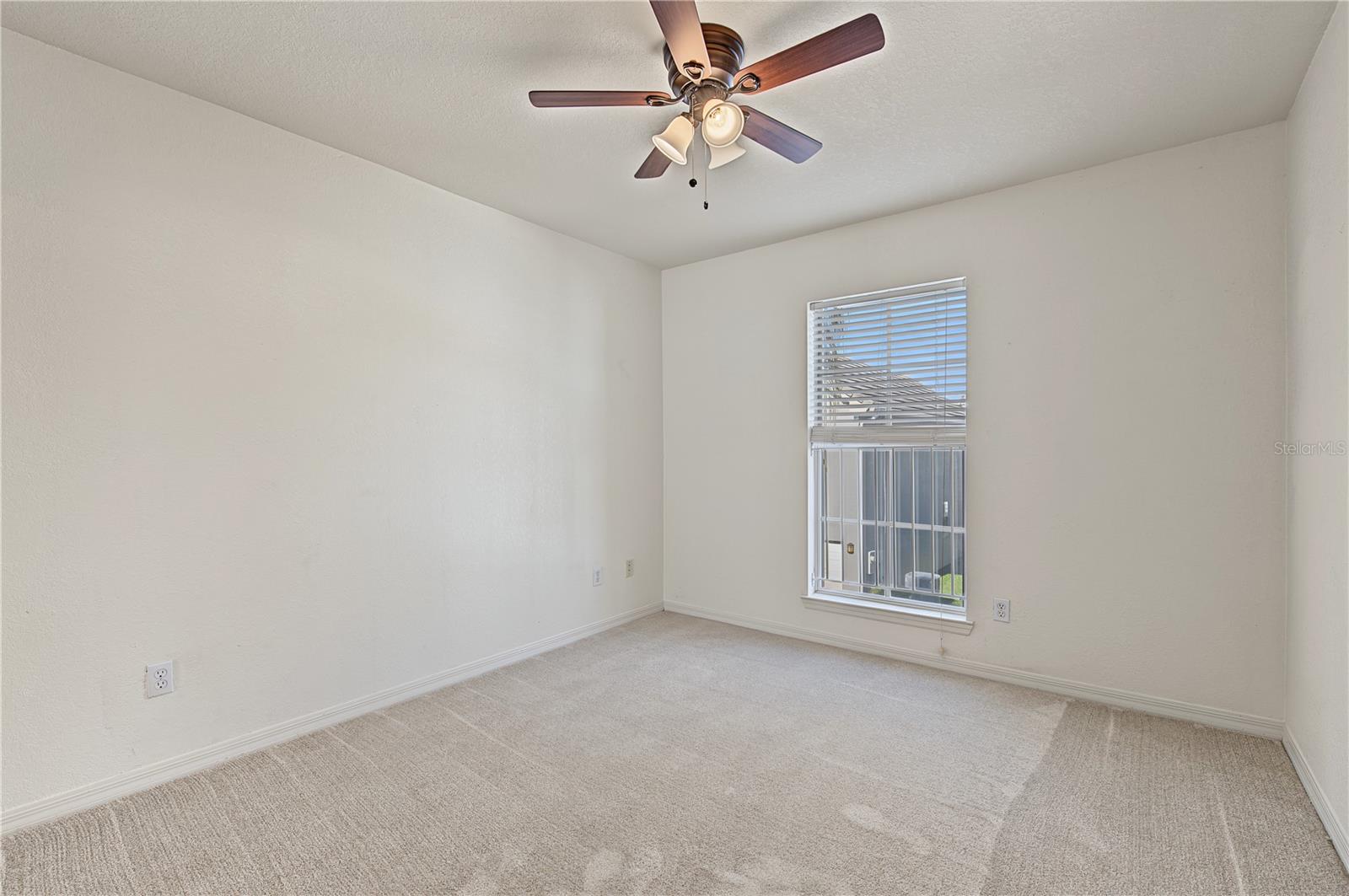 4006 CARROLLWOOD PALM CT — photo 33