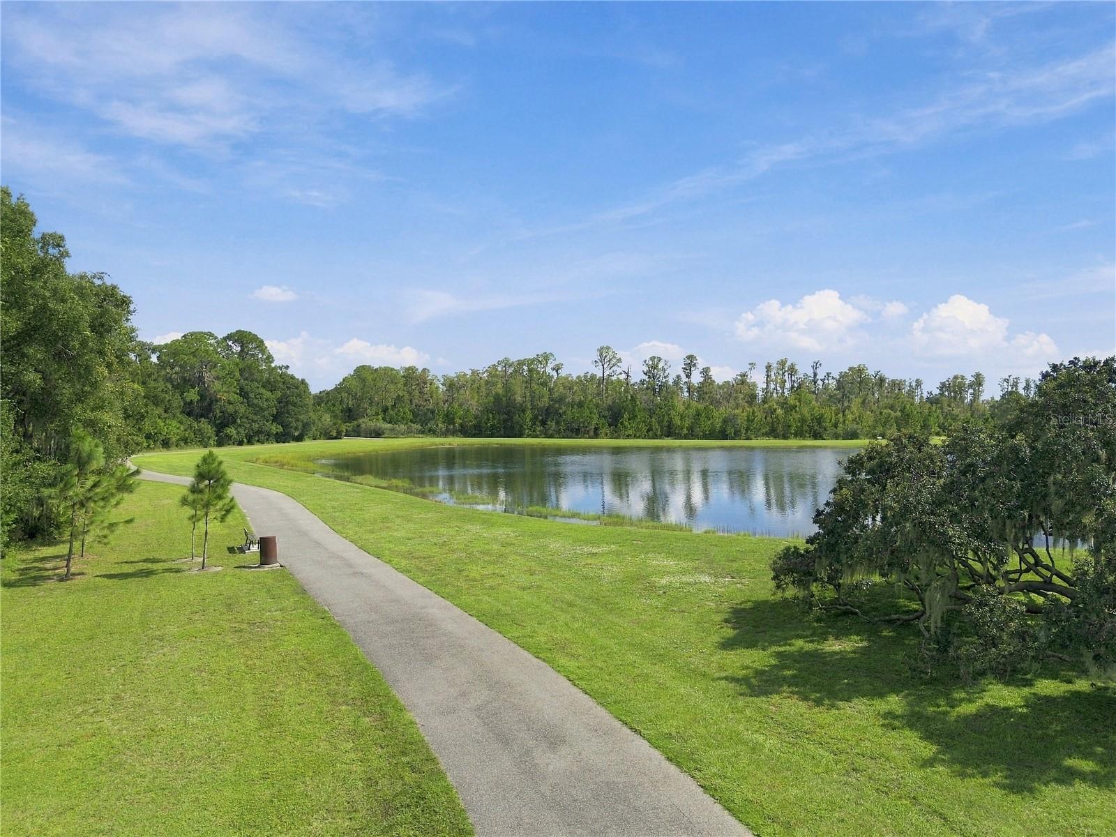 3322 MONROE MEADOWS DR — photo 60