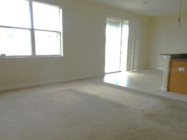 10524 SHADY PRESERVE DR — photo 8