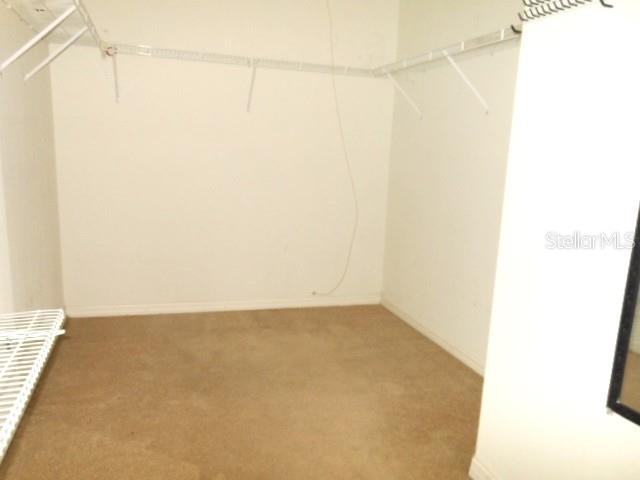 10524 SHADY PRESERVE DR — photo 25