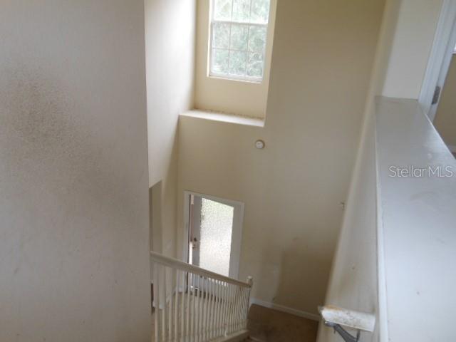 10524 SHADY PRESERVE DR — photo 18
