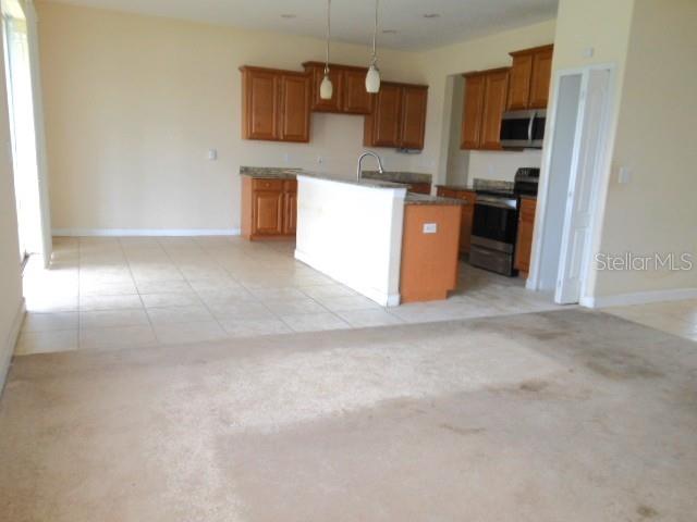 10524 SHADY PRESERVE DR — photo 5