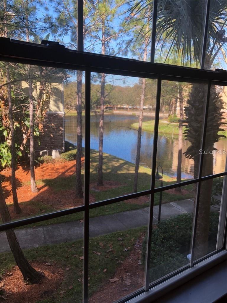10205 COURTNEY PALMS BLVD #203 — photo 15