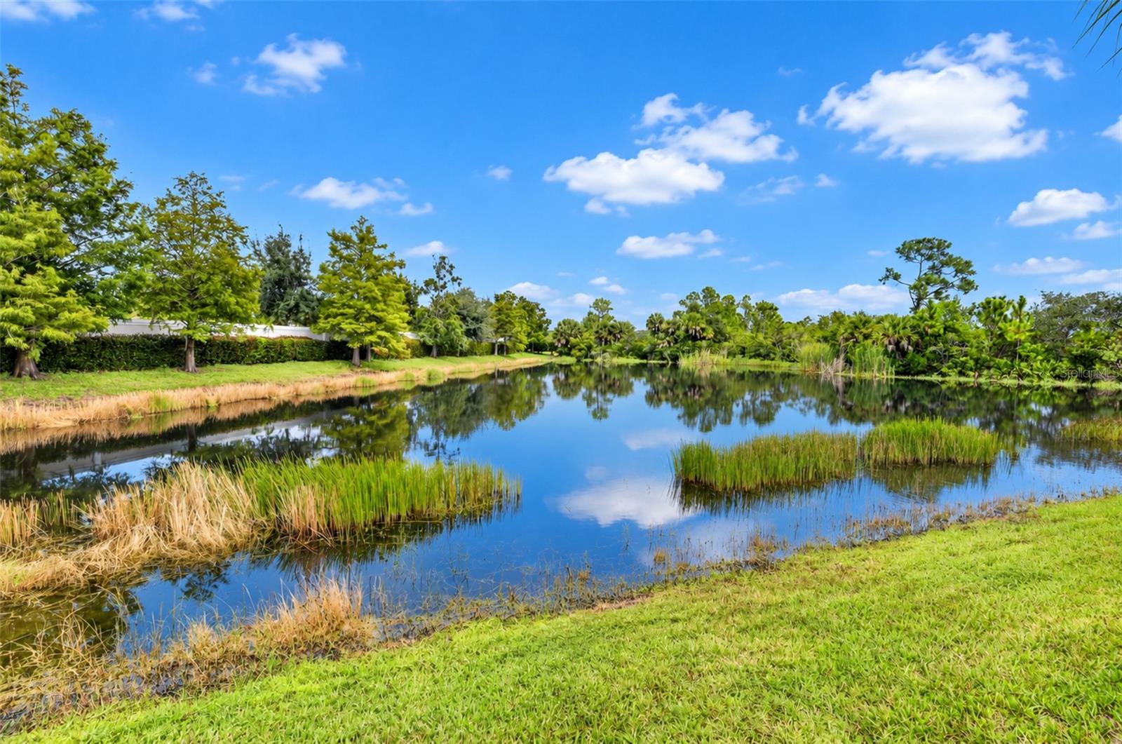 2588 DAISY DR — photo 41