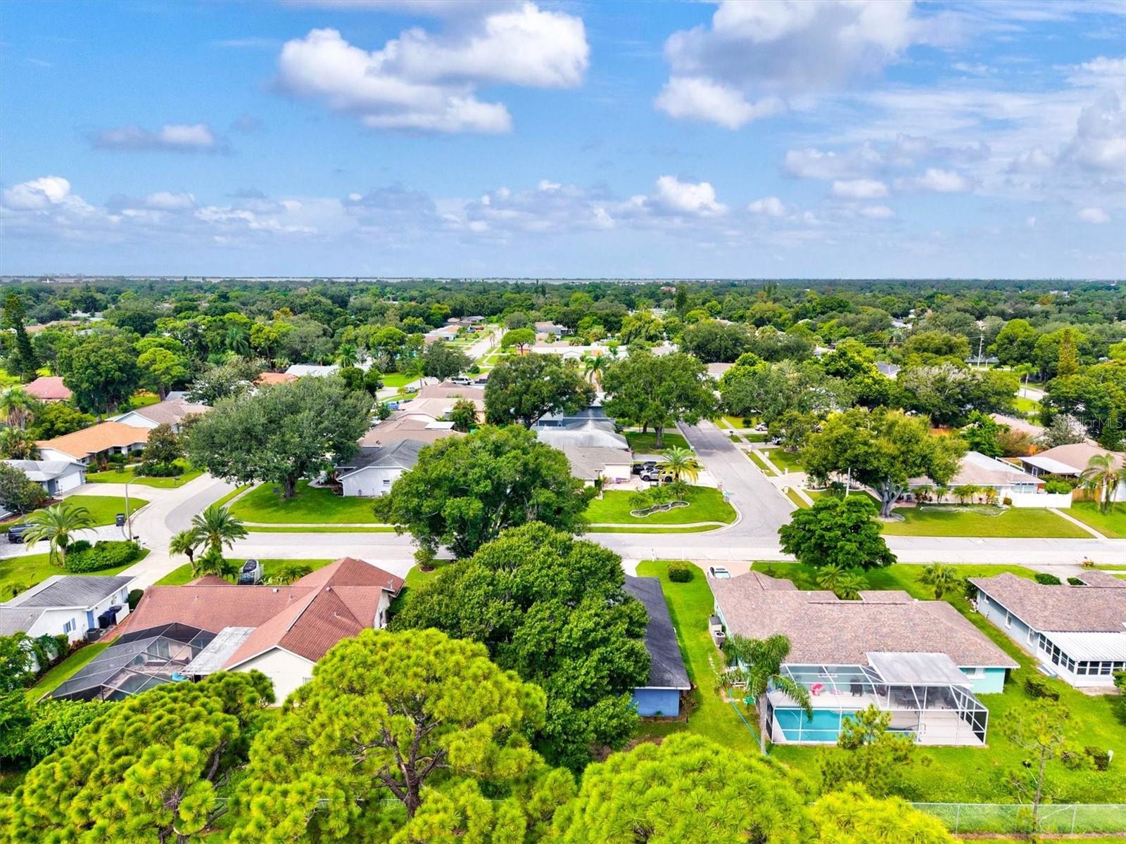7129 QUEEN PALM CIR — photo 45