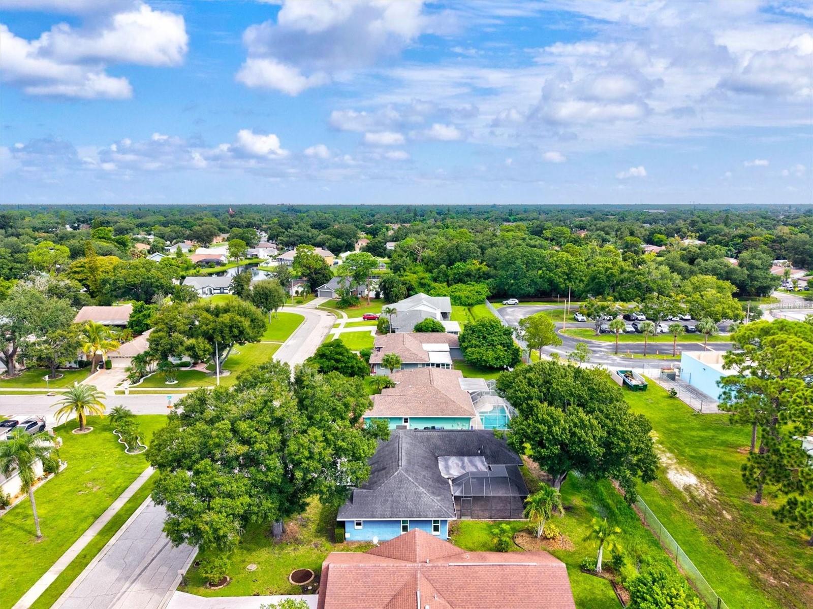 7129 QUEEN PALM CIR — photo 44