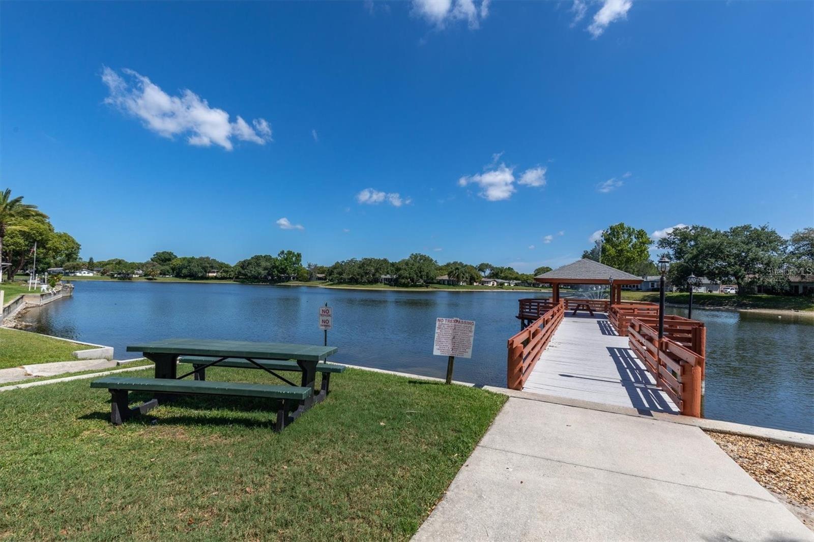 10531 MEADOW HILL DR — photo 41