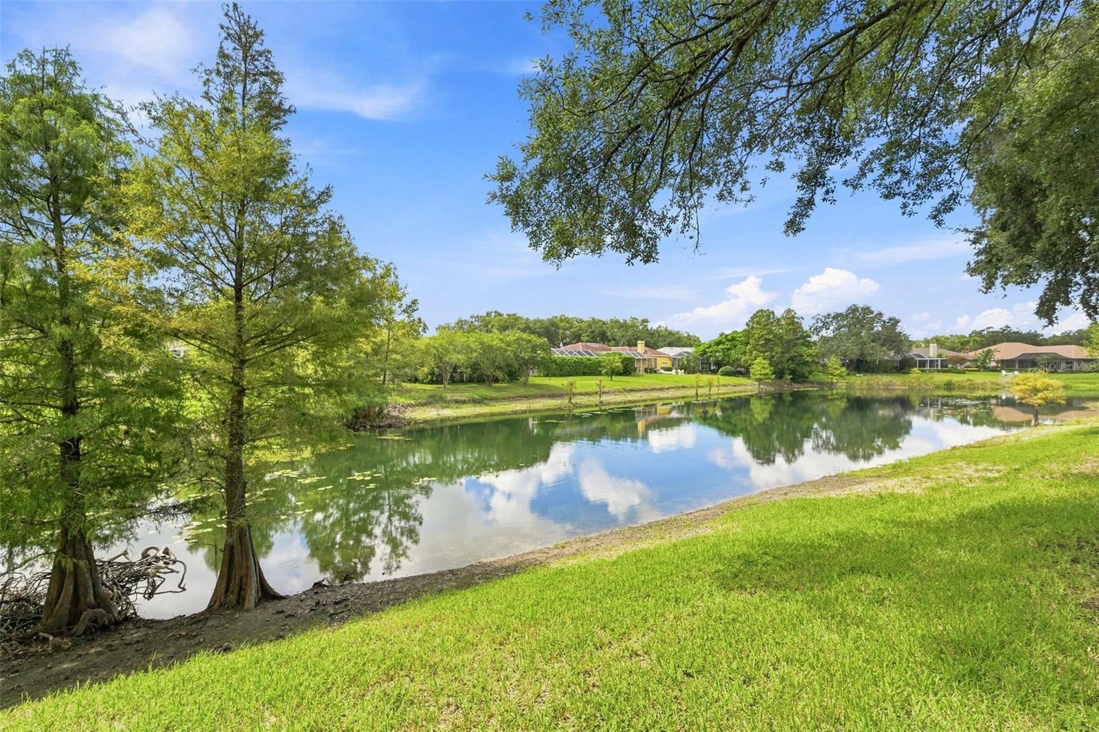 2103 BOOT LAKE CIR — photo 39