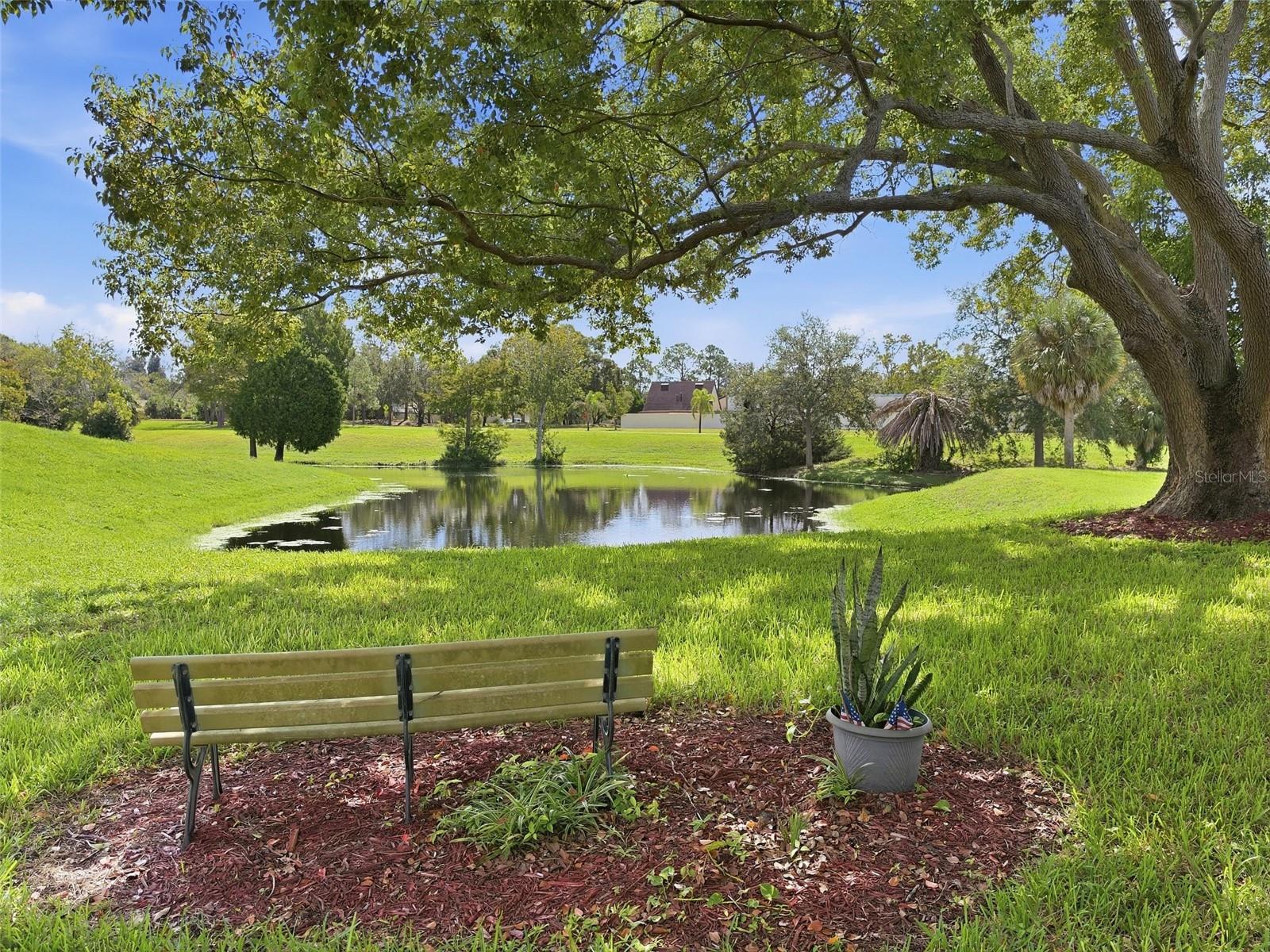 7319 GREYSTONE DR — photo 5