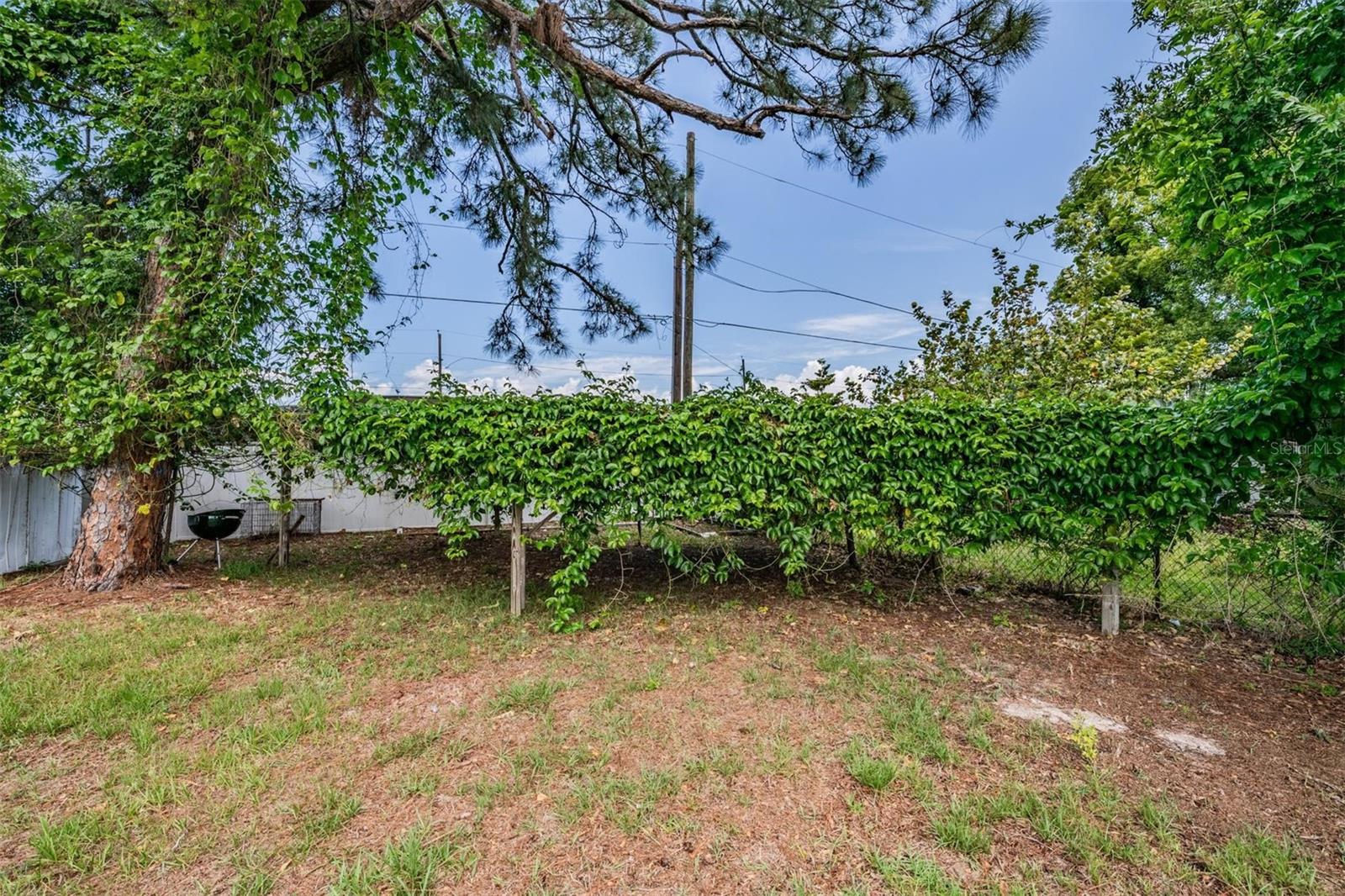 636 STREMMA RD — photo 26