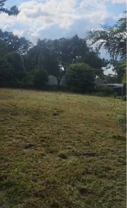 8902 N ORLEANS AVE — photo 3