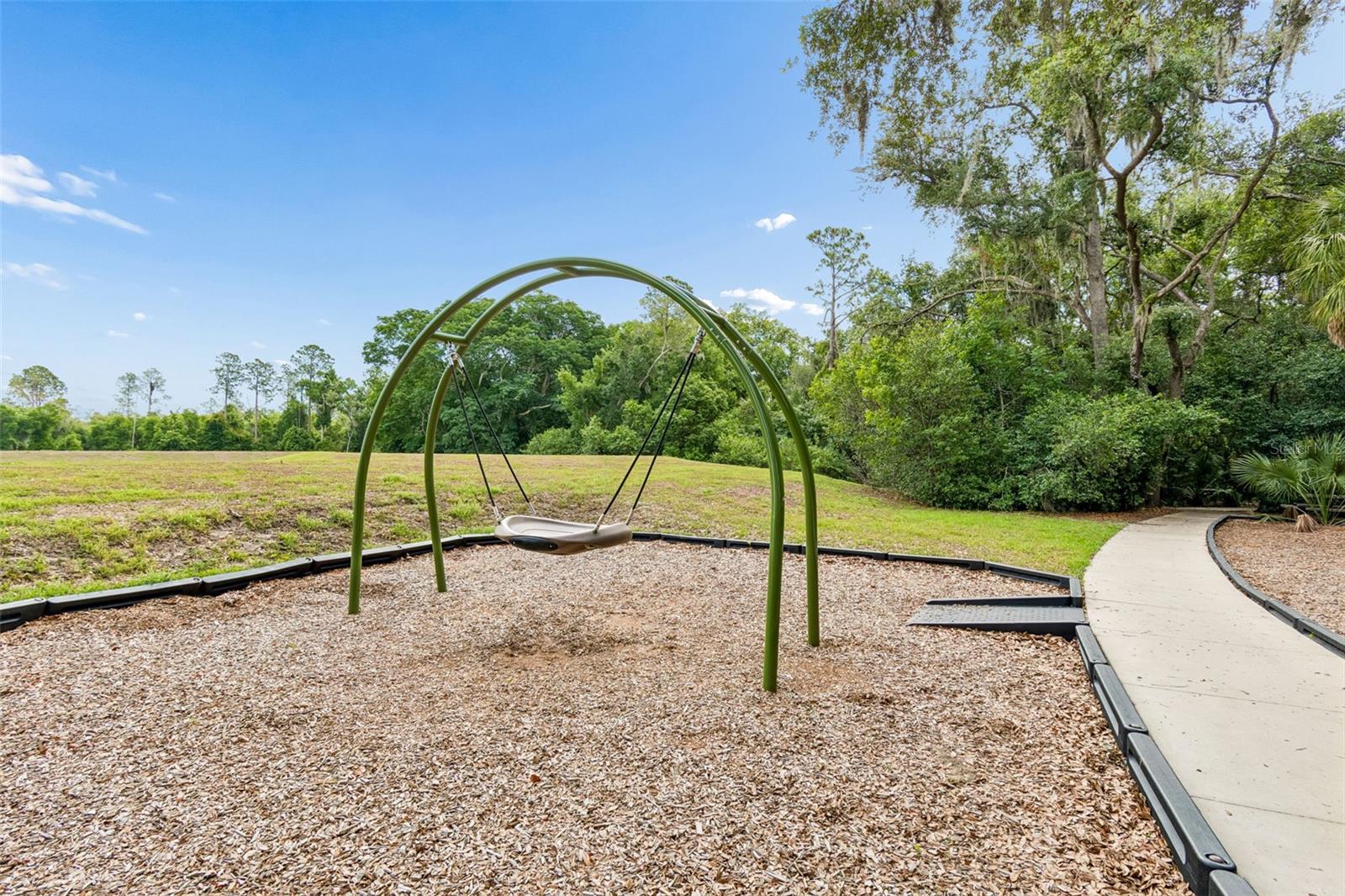 6108 SPRING CRAYFISH AVE — photo 51