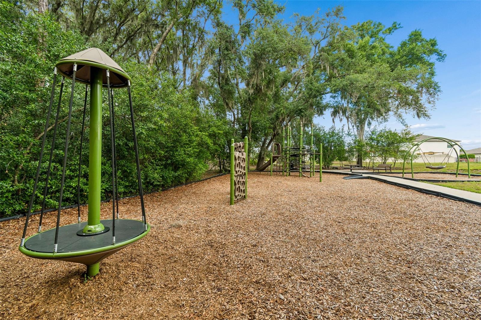 6108 SPRING CRAYFISH AVE — photo 53