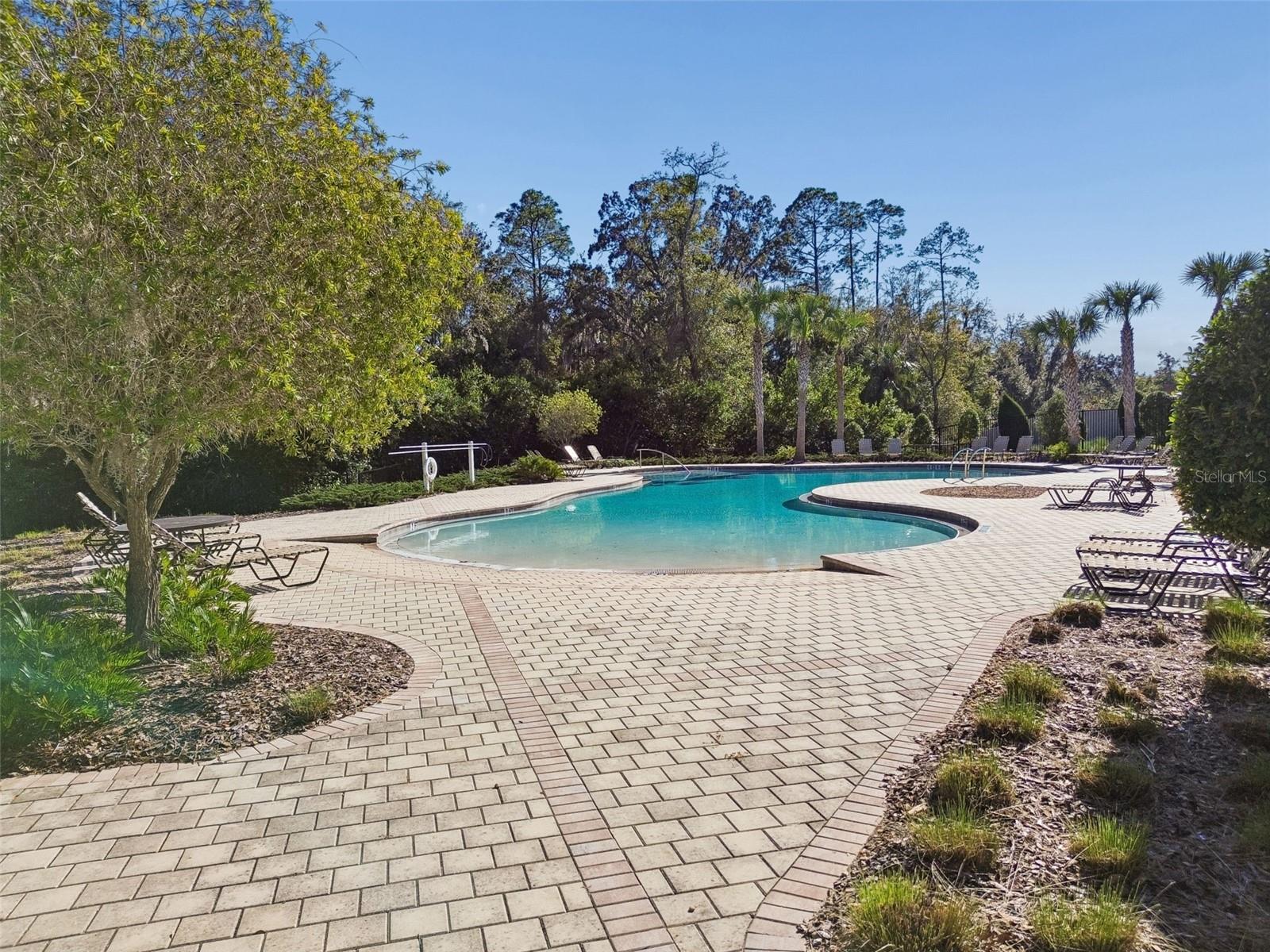 6108 SPRING CRAYFISH AVE — photo 41