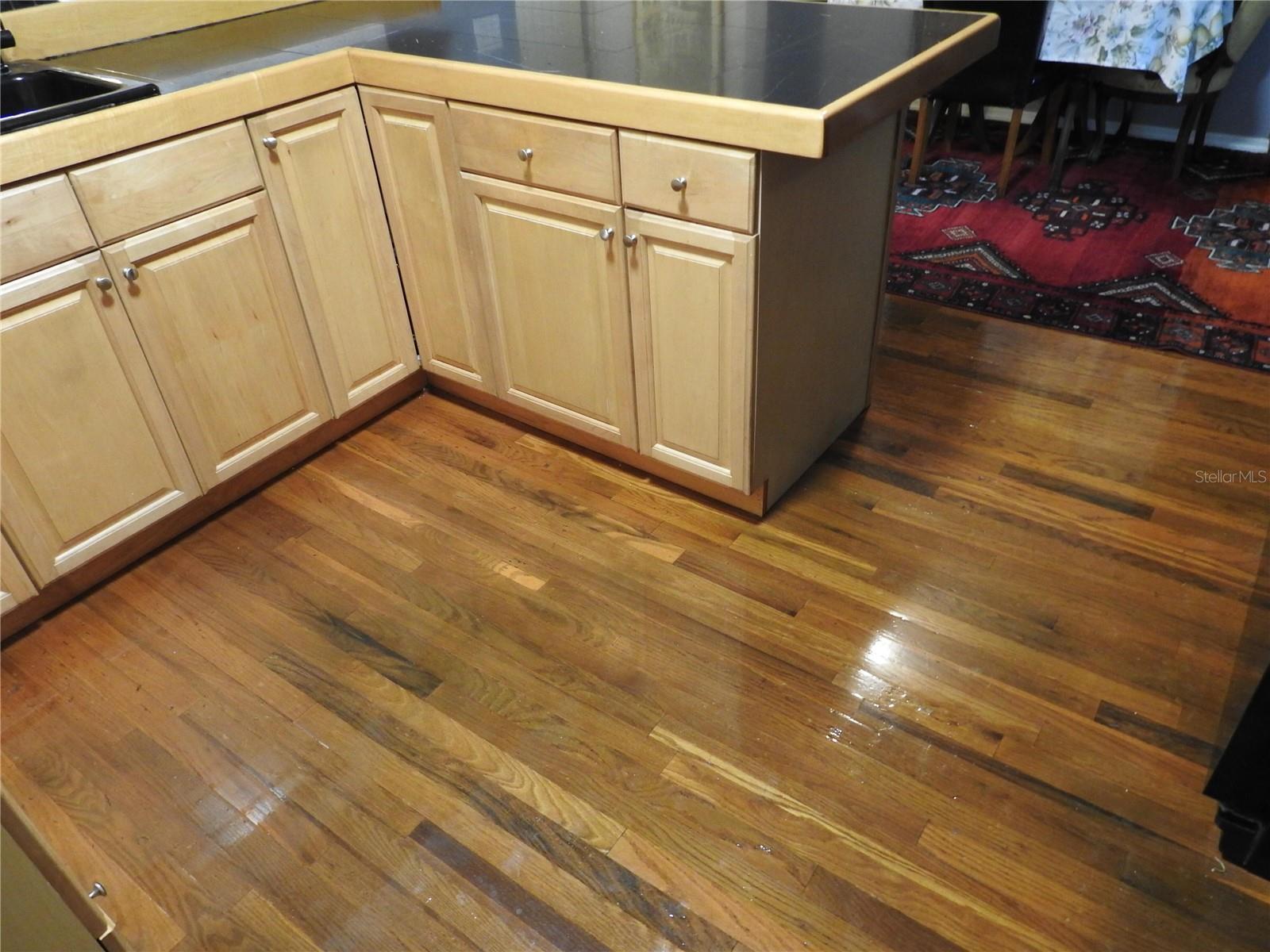 7611 SENRAB DR — photo 10