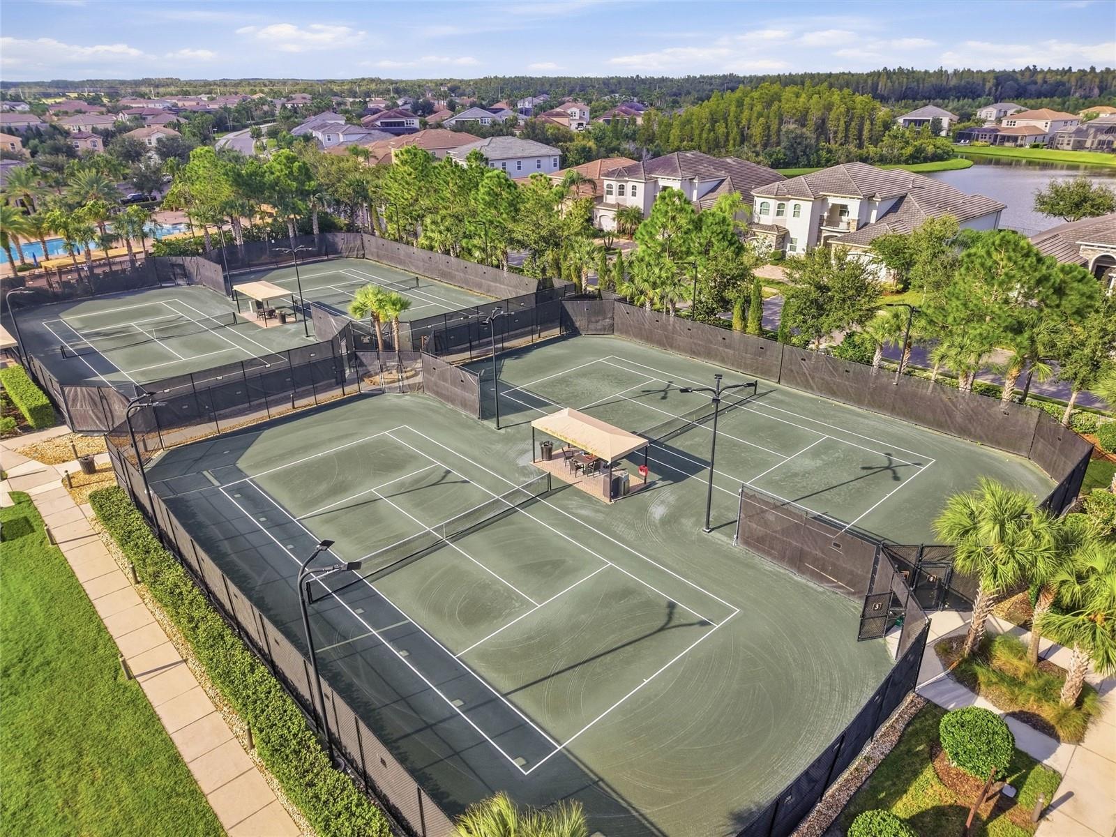 30980 LINDENTREE DR — photo 33