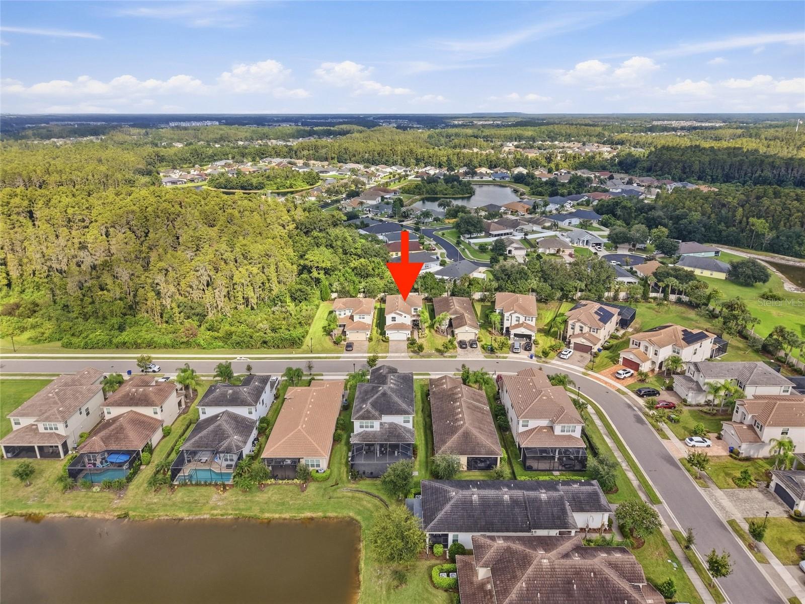 30980 LINDENTREE DR — photo 24