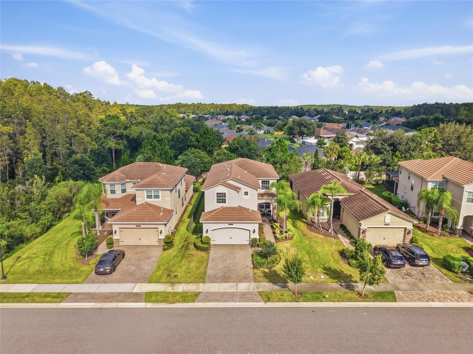 30980 LINDENTREE DR — photo 23